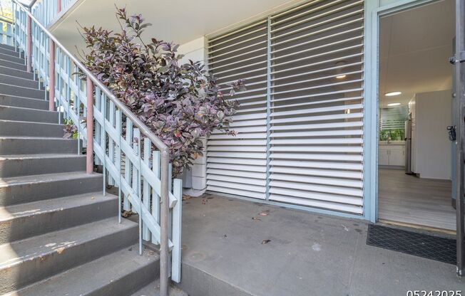 RECENTLY RENOVATED GROUND FLOOR PUALEI CIRCLE STUDIO!
