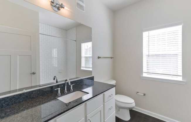Ashland Farms Bathroom with Spacious, Granite Counters, Large Vanity, and Wood-Style Floors