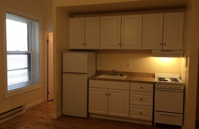 Studio, 1 bath, 245 sqft, $925, Unit 308