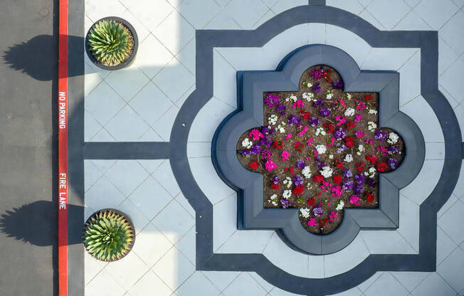 Aerial View of Flower Bed