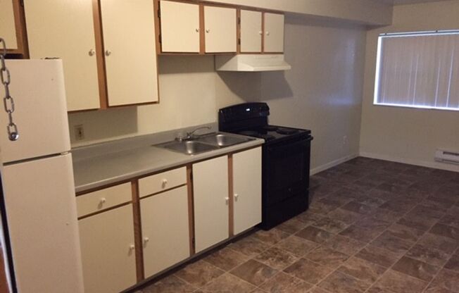 1 bed, 1 bath, 459 sqft, $785, Unit 1121-307