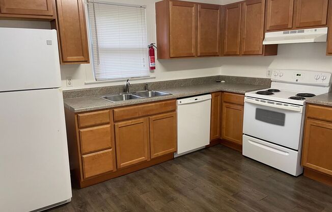 1 bed, 1 bath, $950