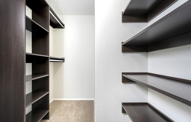 spacious walk-in closet with dark wood shelving