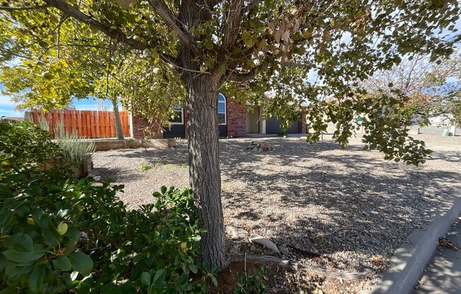 3 Bedroom Single Story Home Available In Enchanted Hills Near Paseo Del Volcan and Enchanted Hills Blvd NE!