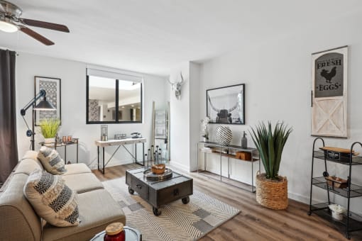 a living room with a couch and a coffee table