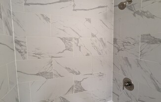 445 W BARRY 509