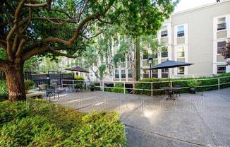 2225 23rd Street, Unit 213