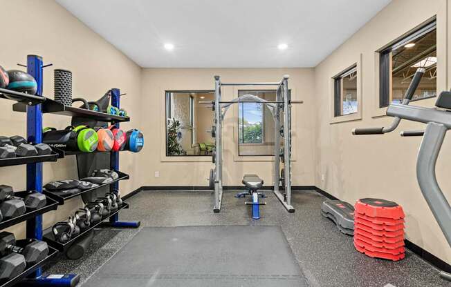A gym room with a variety of equipment including weights and a squat rack.