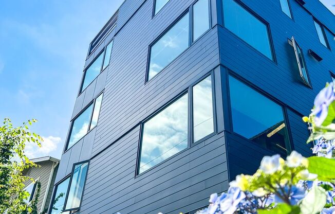 1 bed, 1 bath, 350 sqft, $1,750, Unit 102