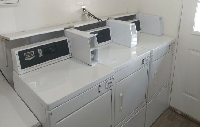 1 bed, 1 bath, 500 sqft, $715, Unit Unit 32