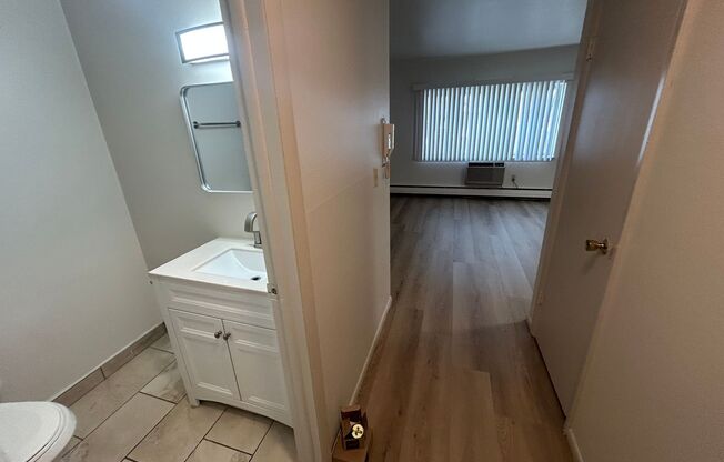 Studio, 1 bath, $875, Unit 206