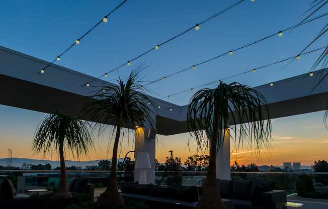 A patio with palm trees and string lights.