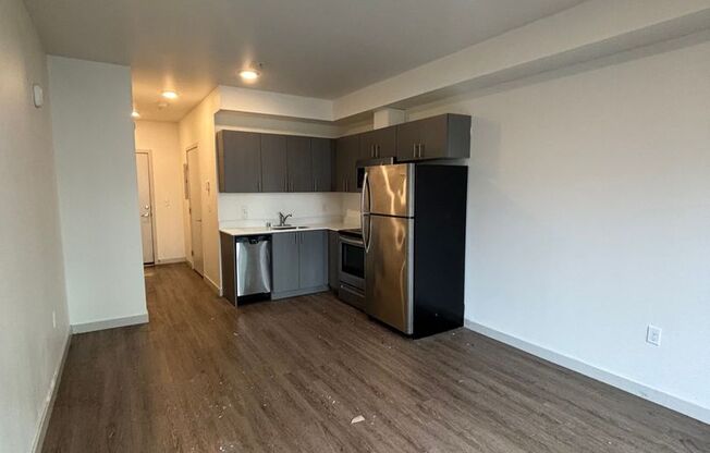 Studio, 1 bath, 306 sqft, $1,295, Unit 207