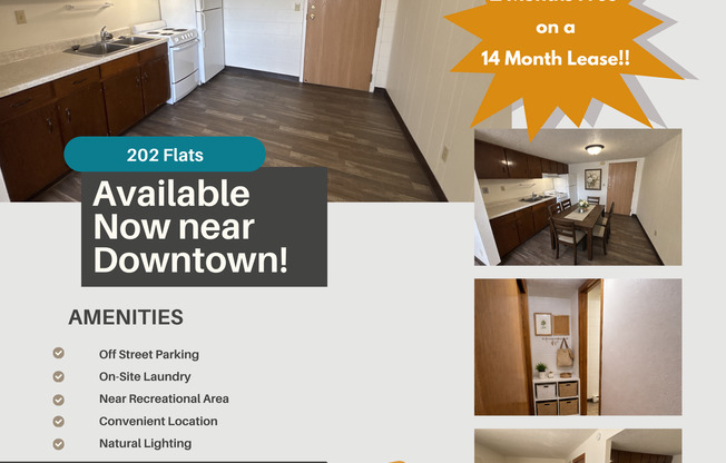 Studio, 1 bath, 500 sqft, $650, Unit 213