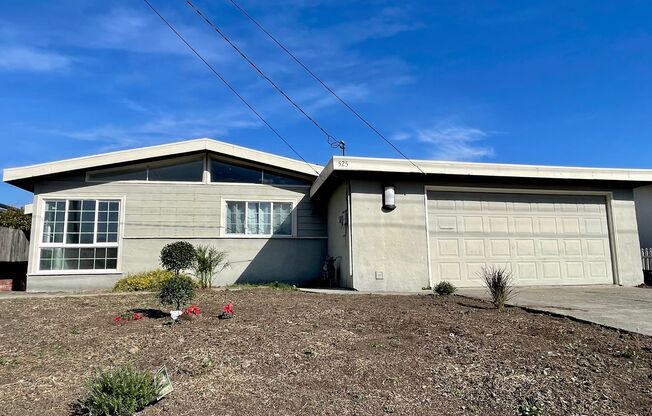 Petaluma: Single Level Home With New Floors & Paint Available Now