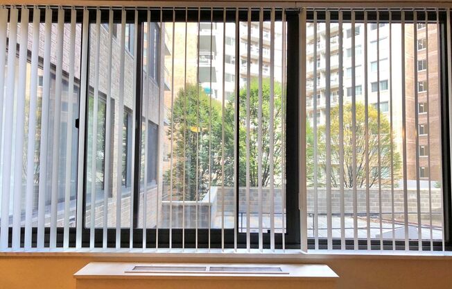 Studio, 1 bath, 440 sqft, $2,275