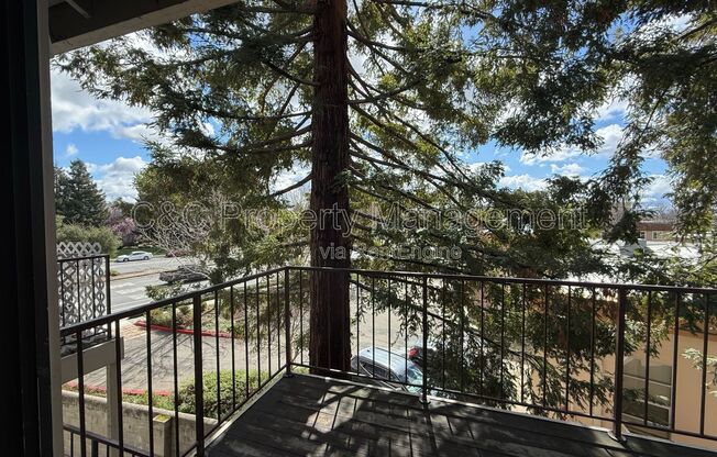 38561 PRINCETON TERRACE 16