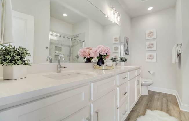 A white bathroom with a large mirror and a plant on the counter.