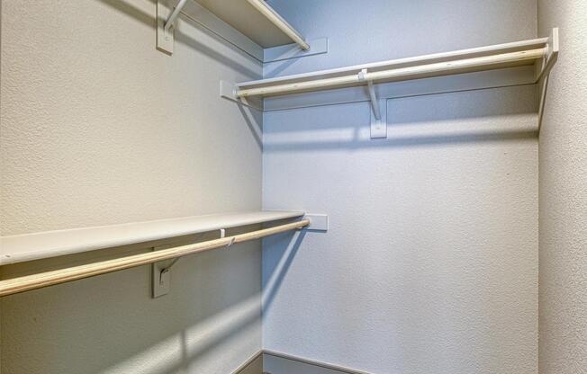 Expansive closet with open shelving and ample room for organized storage.