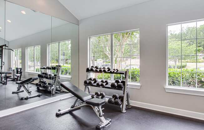 Brodick Hills fitness center free weights
