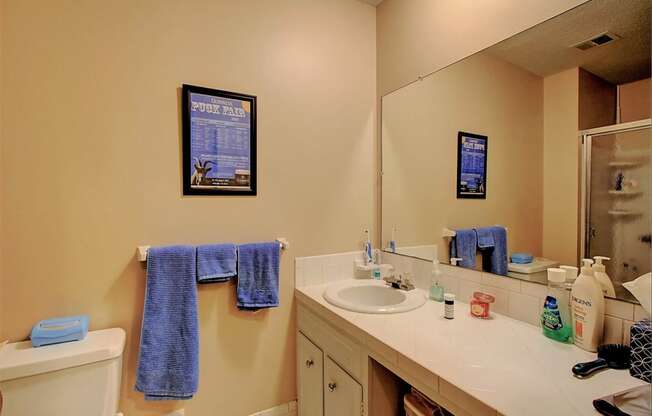 Image of bathroom with large vanity and mirror