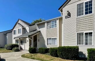 Great One-Bedroom in the Cordata Neighborhood