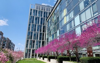 Partner-provided photo for $4800 unit