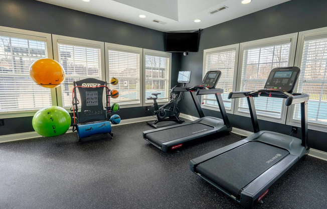 The Woods at Perry Lane - 11