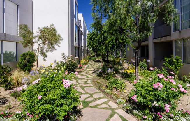 a garden path between two buildings on a sunny day