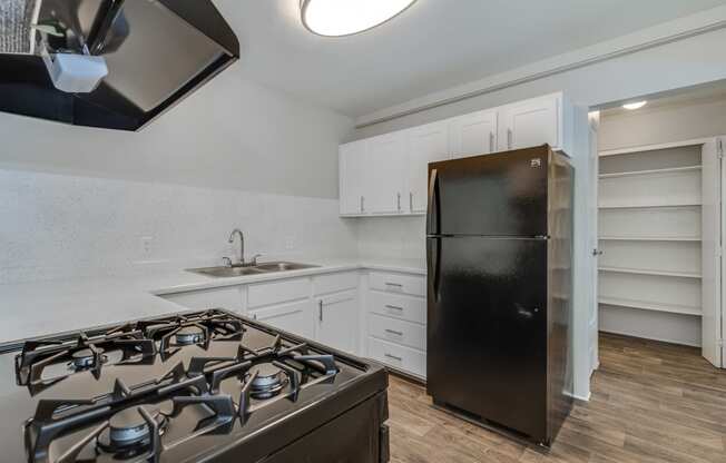 Villas at Vines Apartments Kitchen and Stove