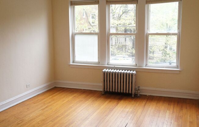 2944 Albany LLC