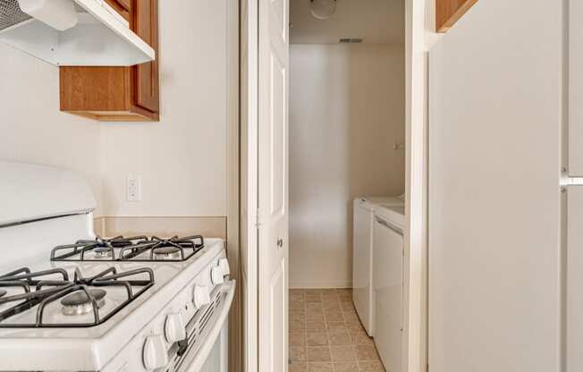 Buttercup Layout Kitchen Model at The Harbours Apartments, Michigan