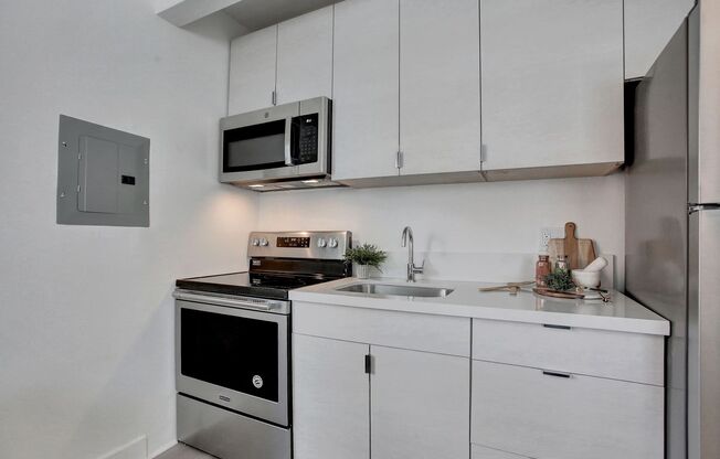 Studio, 1 bath, 235 sqft, $1,095, Unit 203
