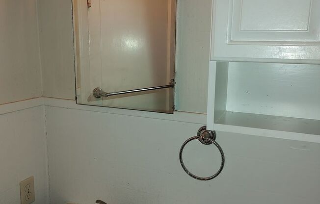 Cute duplex on large plot of land close to downtown