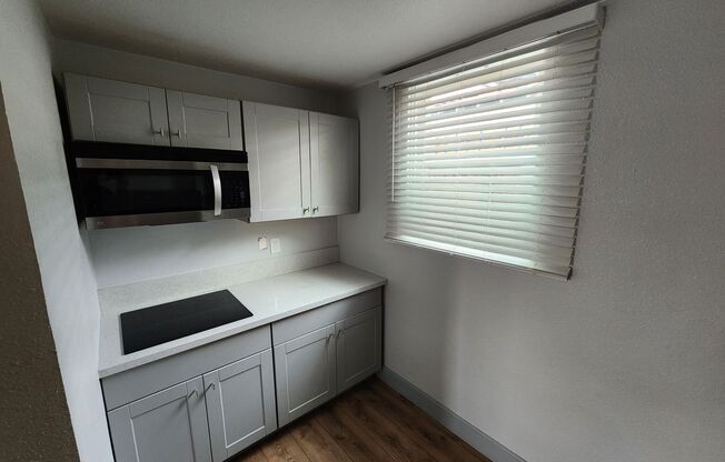 Studio, 1 bath, 550 sqft, $895, Unit 1