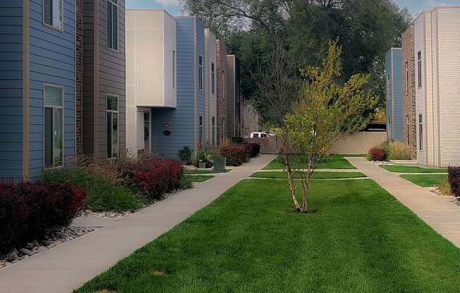 Madrona Townhomes