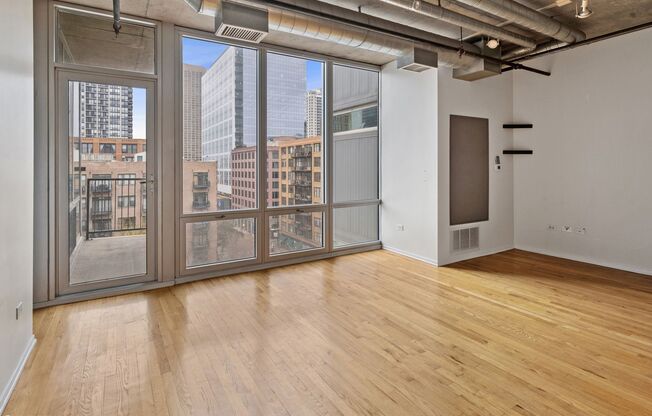 Beatiful 1b/1b West Loop Condo