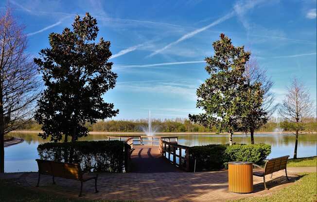 A park with a bench, a tree and a lake.