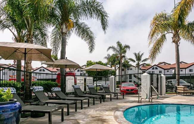 the pool at the resort at longboat key club