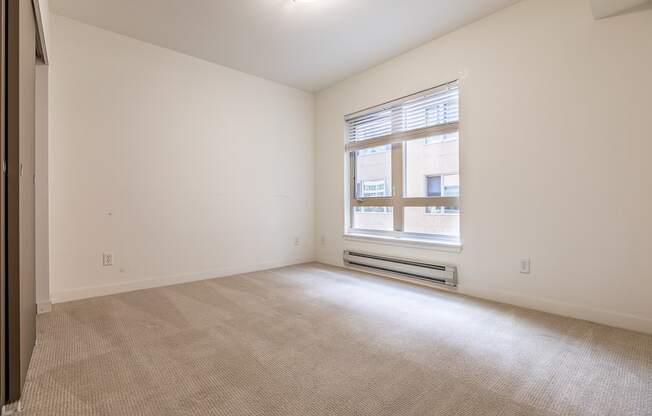 A room with a window and a carpeted floor.