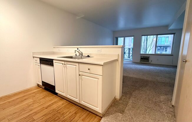 Studio, 1 bath, 483 sqft, $1,450, Unit 308