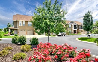 Property landscaping