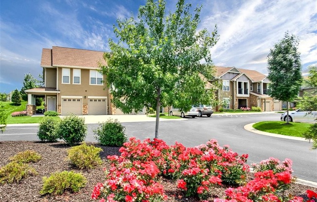 Property landscaping
