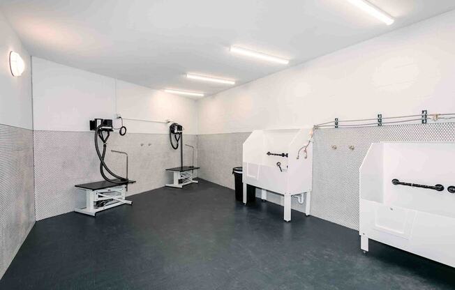 TriVista on Speer Pet Wash