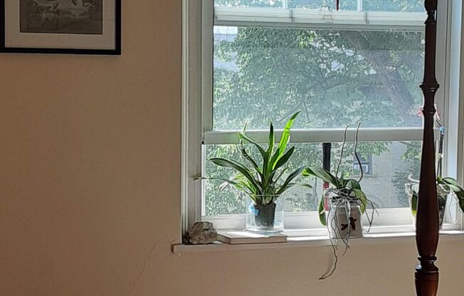 1 bed, 1 bath, $1,045, Unit 388