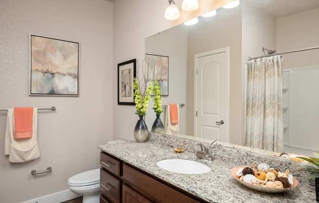 The Haven at Shoal Creek - Granit countertops in bathrooms and kitchens