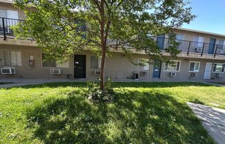 Willow Tree Apts