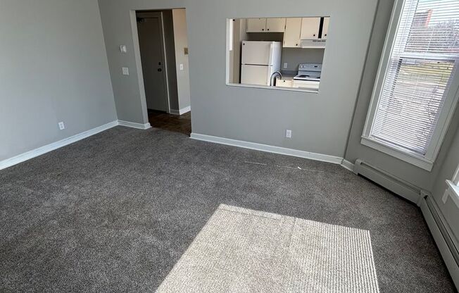736 East 16th Street (New Town)