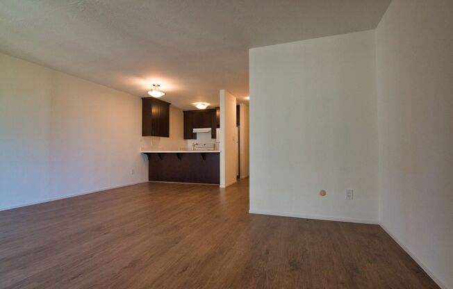 Studio, 1 bath, 475 sqft, $1,875, Unit Unit 303