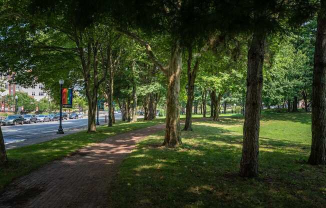 A tree-lined walkway in a park.